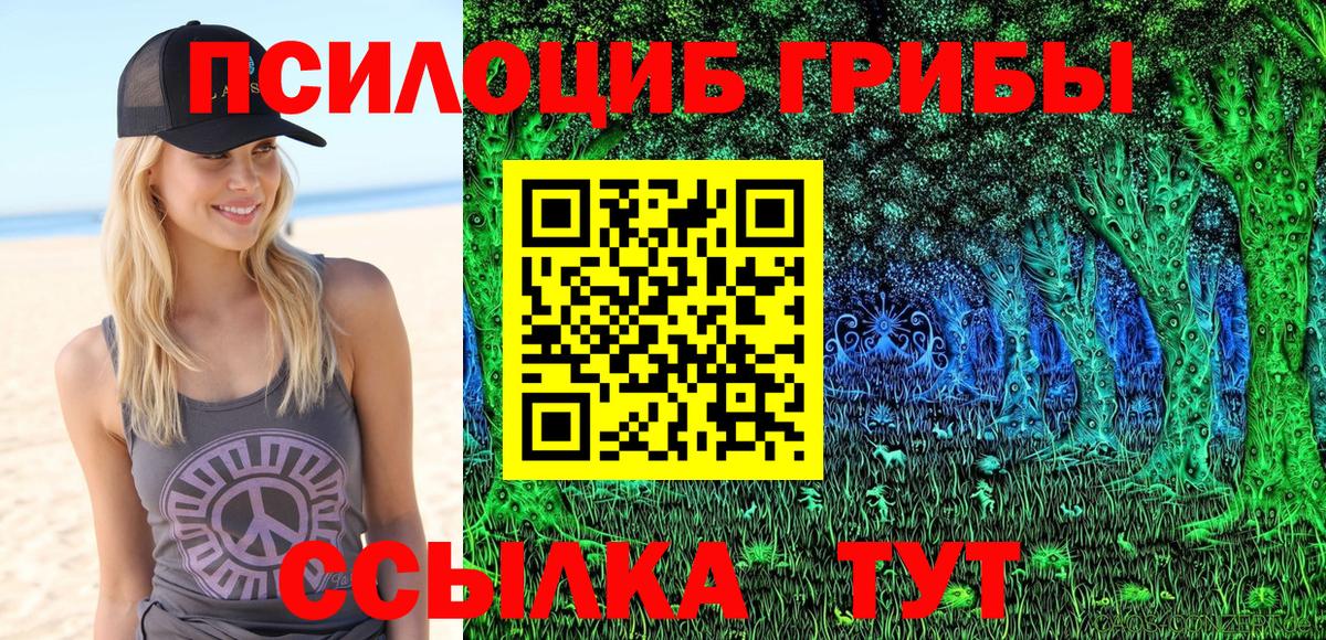 Галлюциногенные грибы Cubensis Лобня